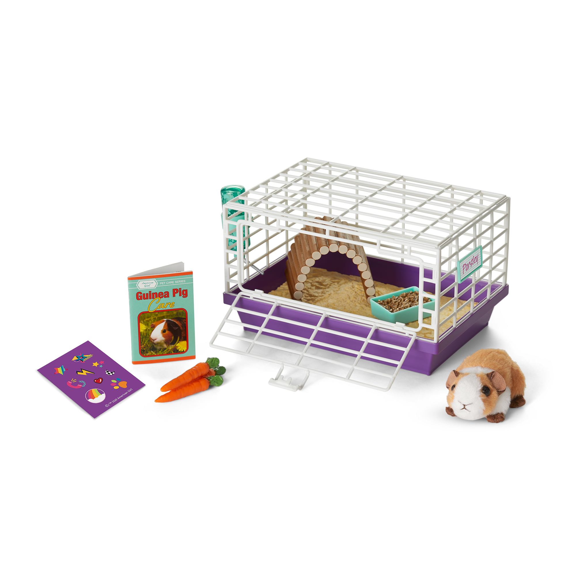 Courtney's Guinea Pig (Historical Characters)